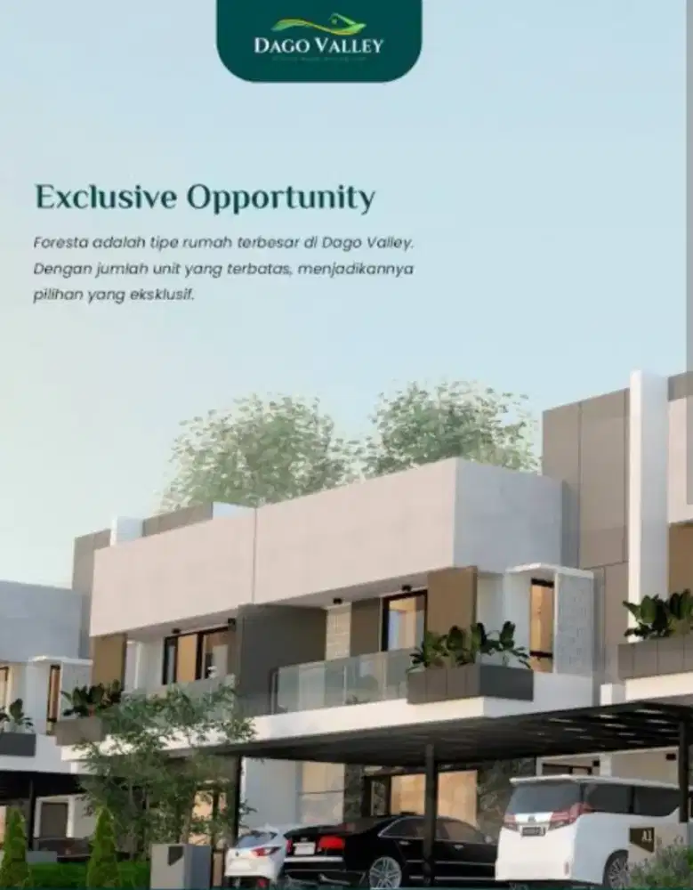 Asistenn rumah tangga