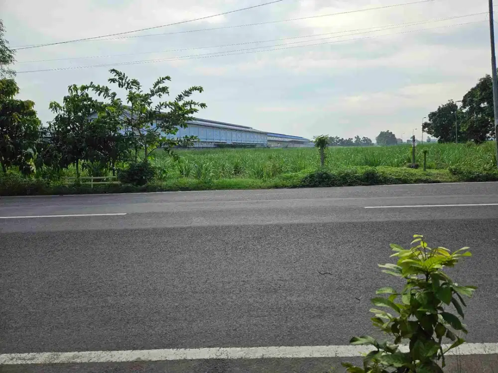 Termurah Lahan industri mojokerto