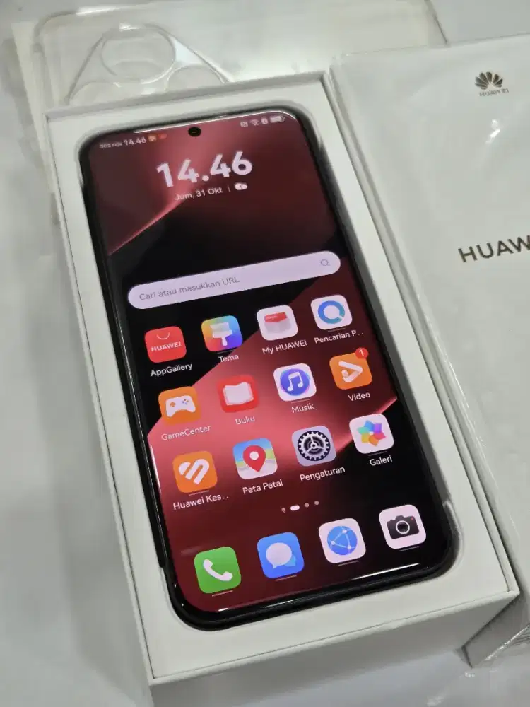 Huawei Pura 80 Pro 12/512
Mulus perfect 2 minggu
