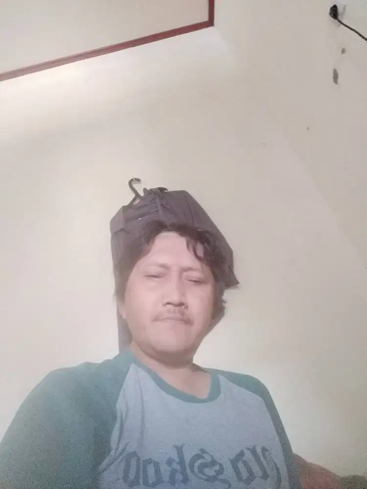 Pengurus kucing peliharaan /cat caregiver