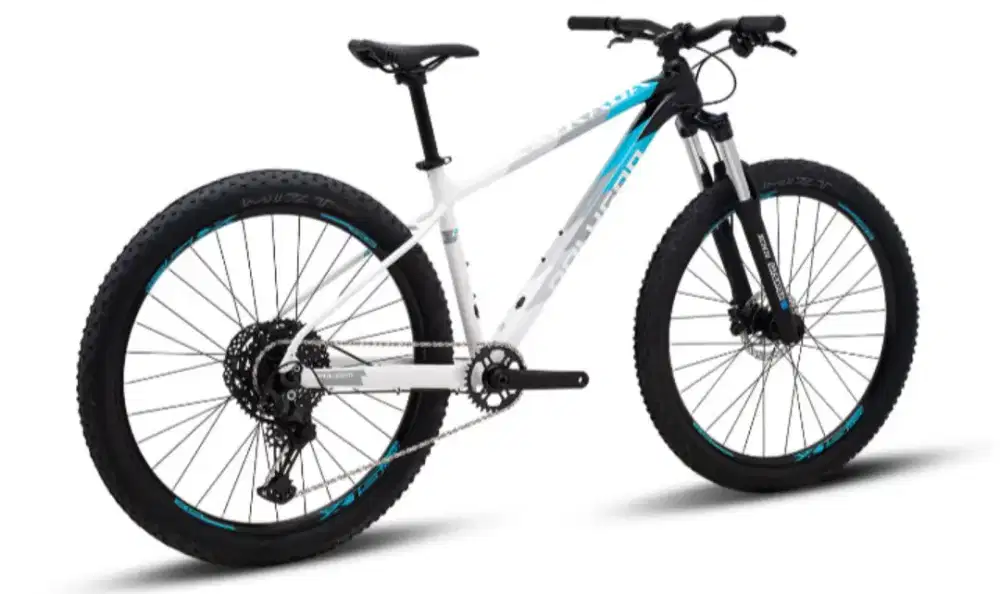 Polygon Sepeda Gunung Xtrada 5