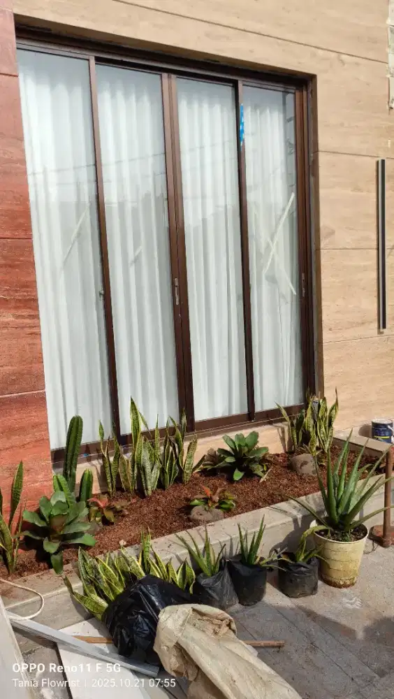 Tukang taman kering minimalis profesional - jasa buat taman rumah