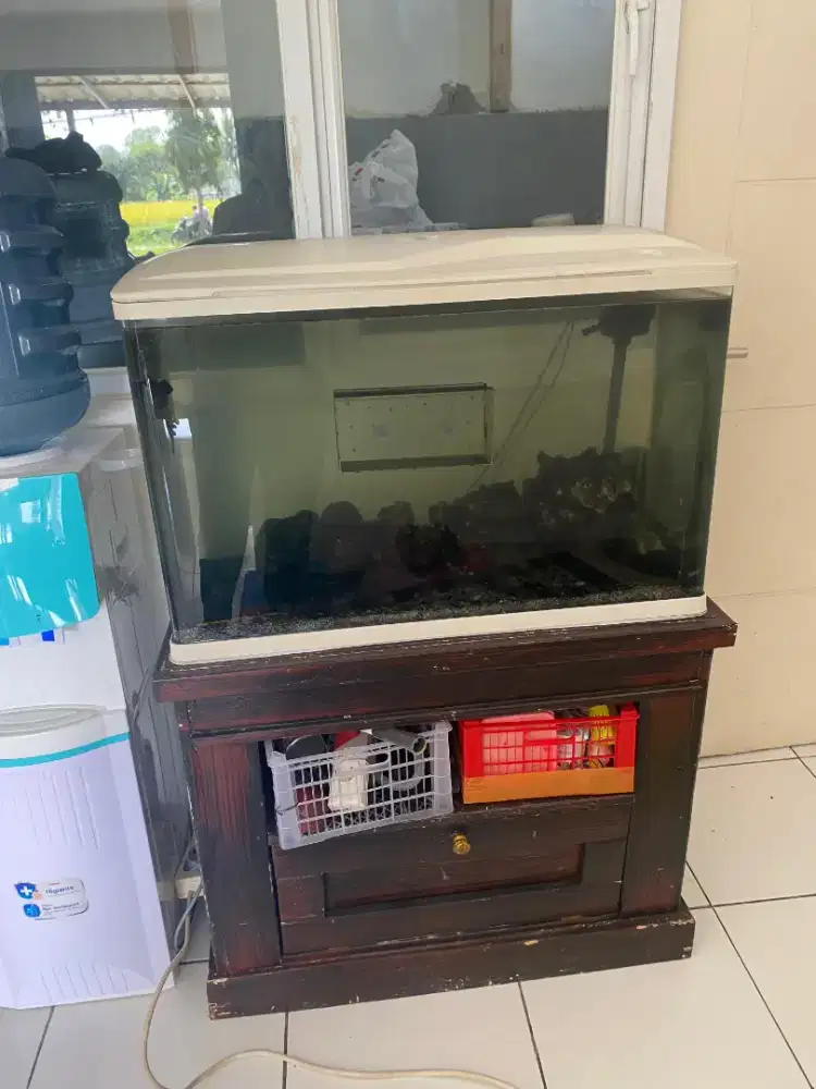 Aquarium Bending 80 cm