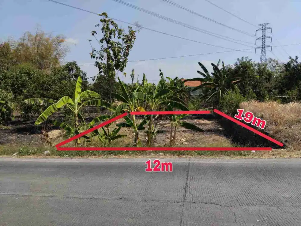 ‼️JUAL CEPAT‼️TANAH DI JALAN RAYA KRAJAN ORO-ORO OMBOWETAN PASURUAN