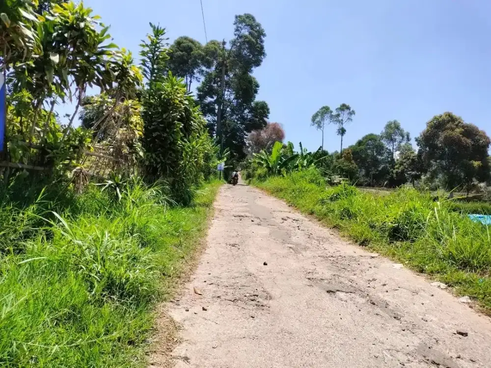 Tanah Barunagri Lembang hawa sejuk dijual dengan harga bagus.