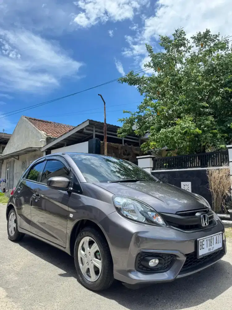 Brio e satya 2017 AT