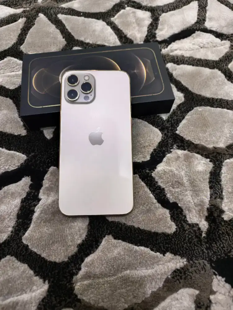 iPhone 12 pro max ex garansi resmi Digimap 256gb