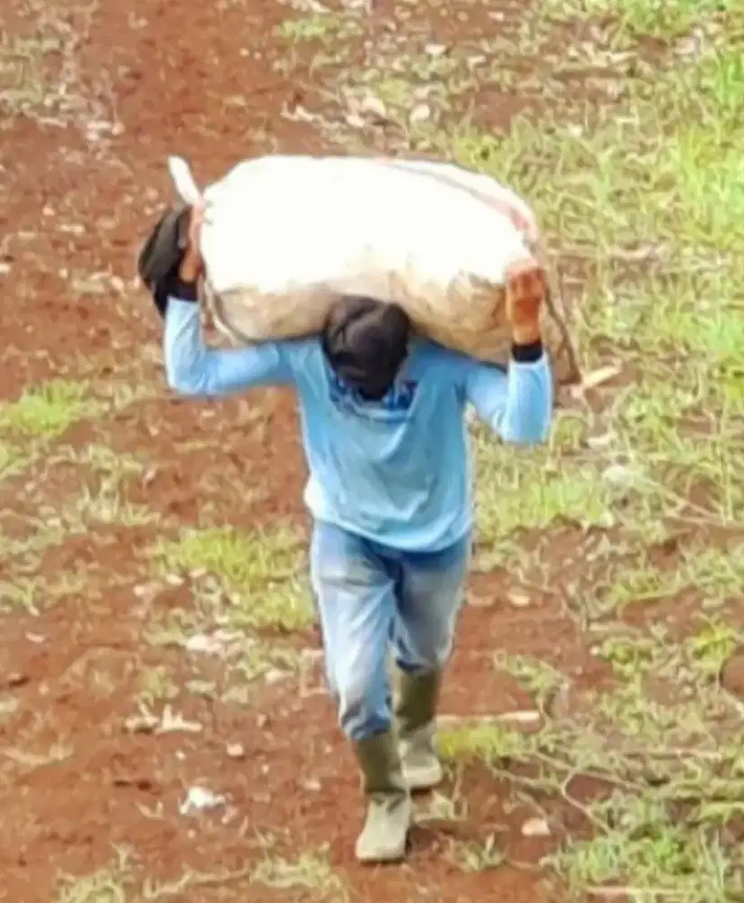 Mencari Pekerjaan Yg Nyata