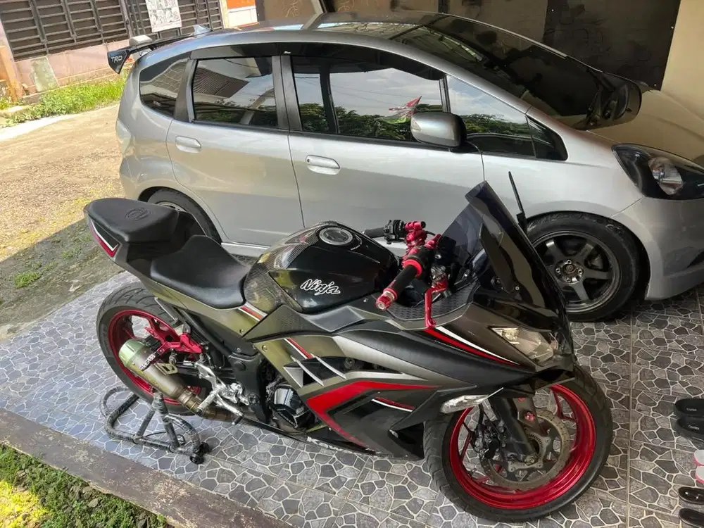 Ninja 250 abs morot terawat