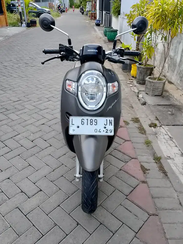 Scoopy 2019 Stylish