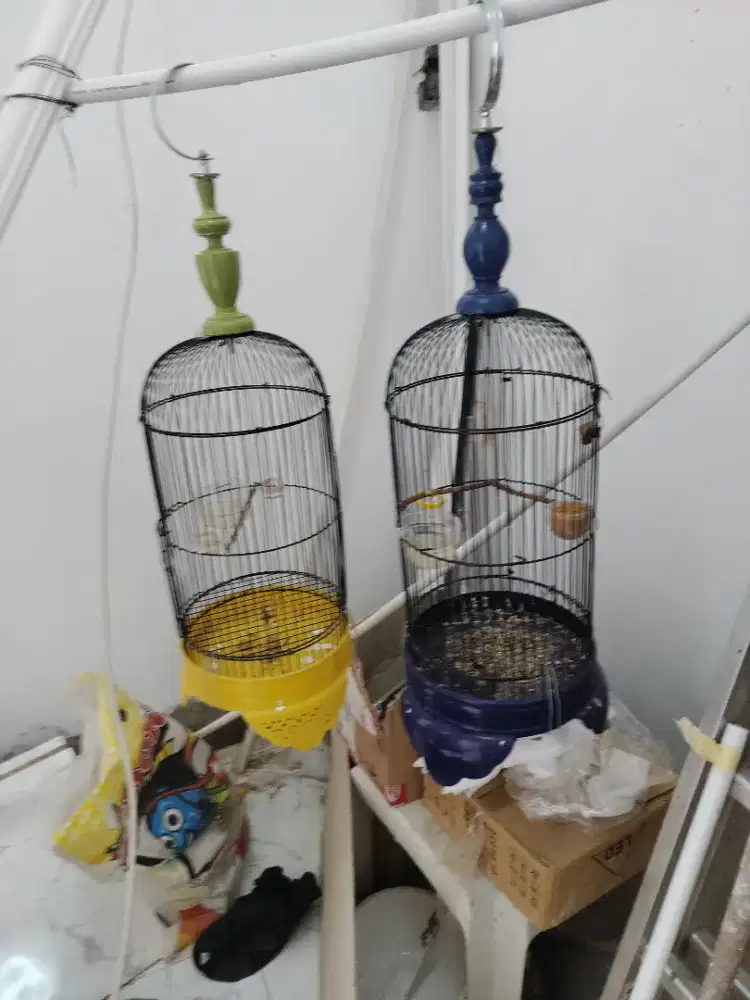 Jual sangkar untuk burung kecil