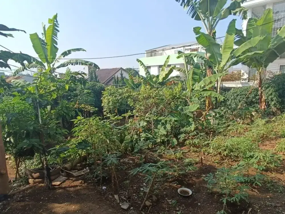 Tanah Kavling Cocok untuk Rumah Kost/ Hunian Ciumbuleuit