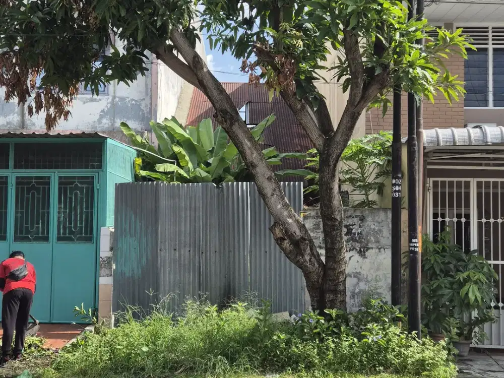 Jual tanah kavling jalan Singosari - Jose Rizal daerah Thamrin