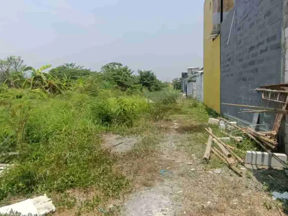 Tanah Murah Lokasi Masangan Kulon Sukodono Sidoarjo