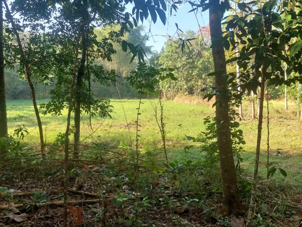 Bangunjiwo, Tanah Kasihan Bantul, Dekat Pasar Gamping