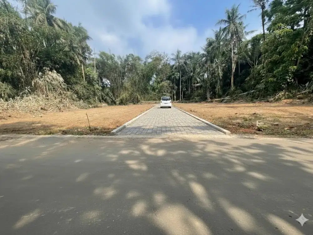 700 Meter Kantor BPN, Dijual Tanah Murah Tridadi