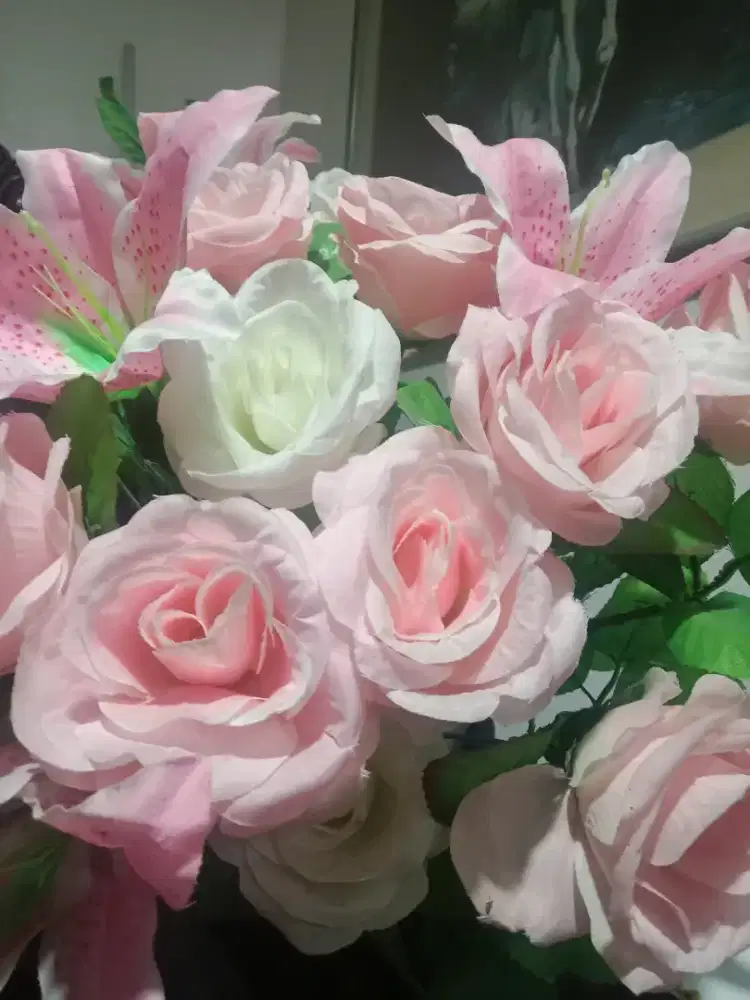 Staf Admin Kantor Notaris