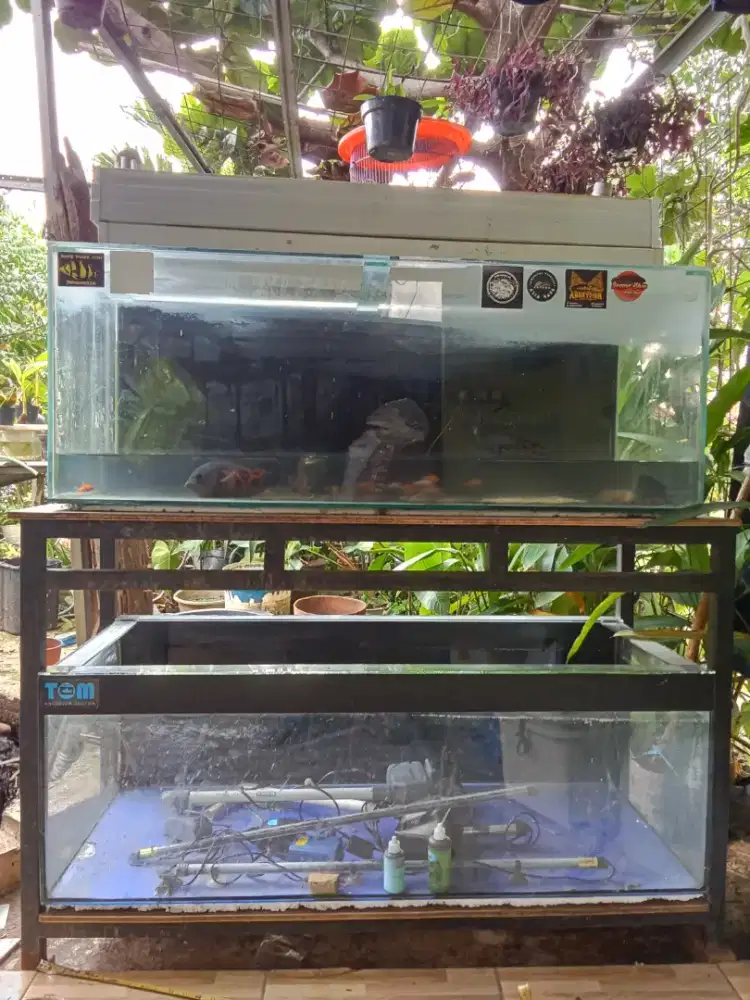 Akuarium bekas 2 unit + perlengkapannya