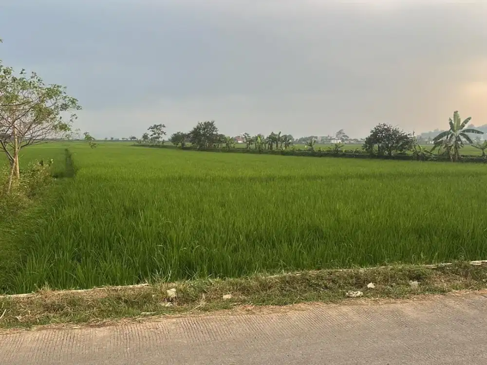 Jual tanah mainroad Lokasi Ciheulang Jelekong kab bandung