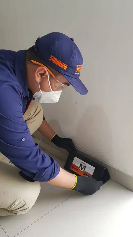 Pembasmi Tikus atau Rodent Control Balikpapan