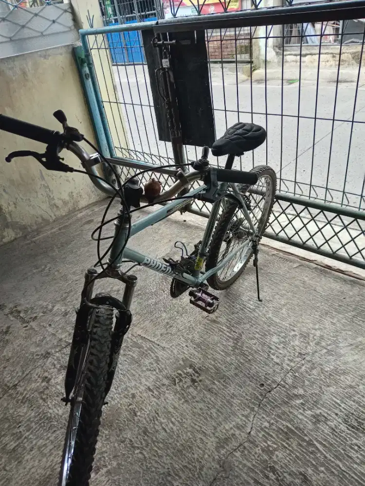 Phoenix ukuran 26x175 siap goes