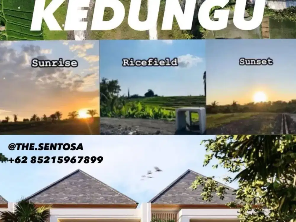 10 Menitan Canggu Tanah Dijual View Sawah, Sunset, Sunrice, Mountain