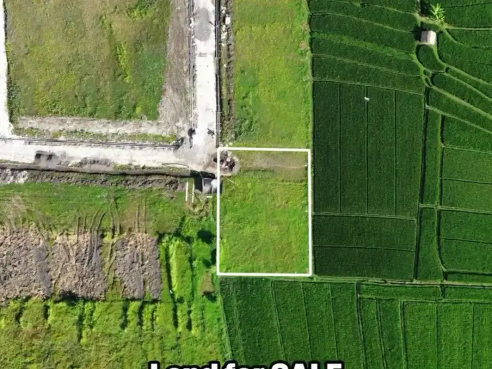 Dijual tanah dekat CANGGU lingkungan mewah view sawah paling murah