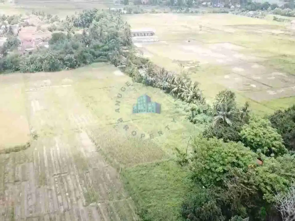 JUAL TANAH MURAH ZONA KUNING DI GEMBONG BALARAJA TANGERANG