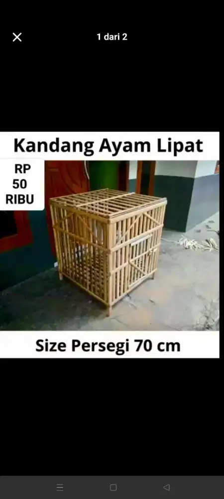 Kandang ayam jago kelinci kucing