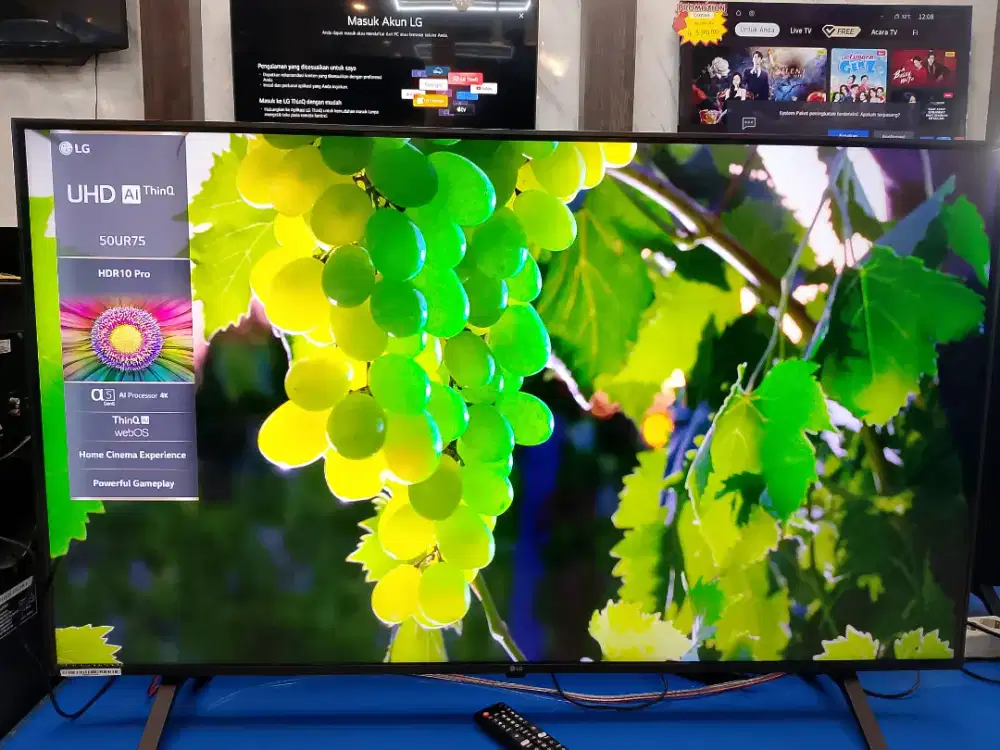 SEMART TV LG udah pintar