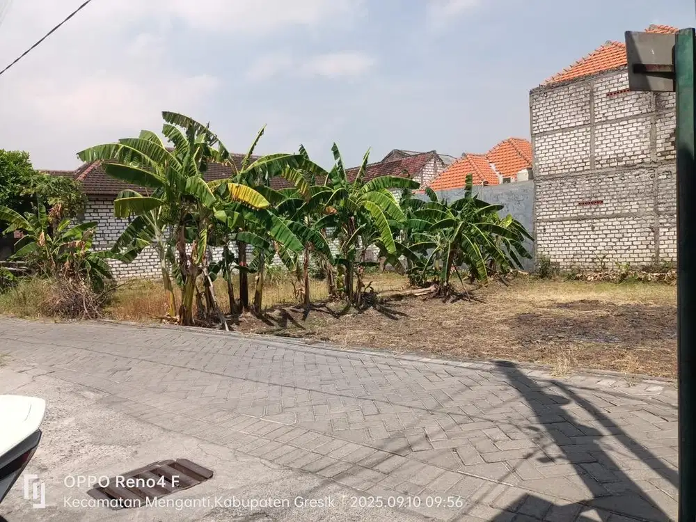 Di jual sawah tanpa perantara