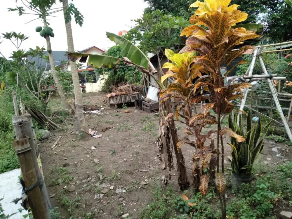 Dijual Tanah Kalving Sambiroto Purwomartani Kalasan Sleman