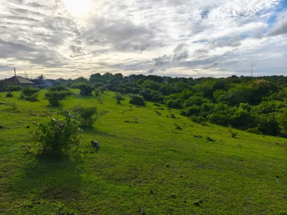 dijual tanah dekat hotel kempinski nusa dua Kuta Selatan Badung Bali