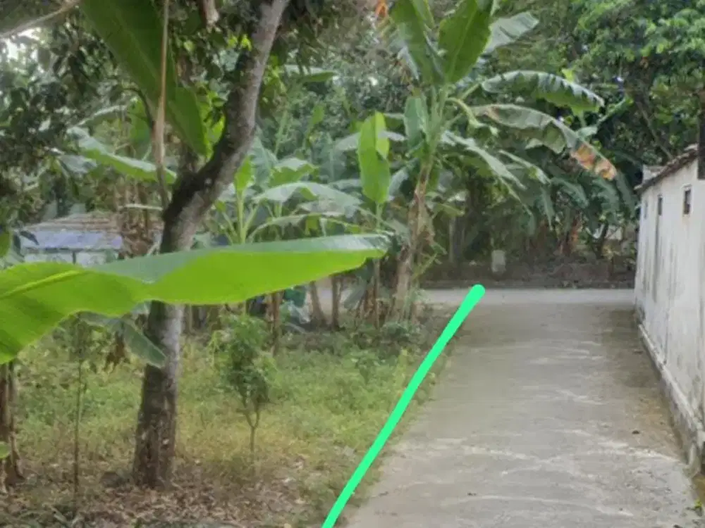 DIJUAL Tanah Pekarangan Bagus Di Seyegan Sleman