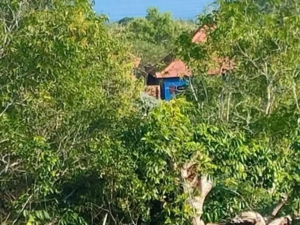 dijual tanah view laut dekat pantai green bowl Ungasan Badung Bali