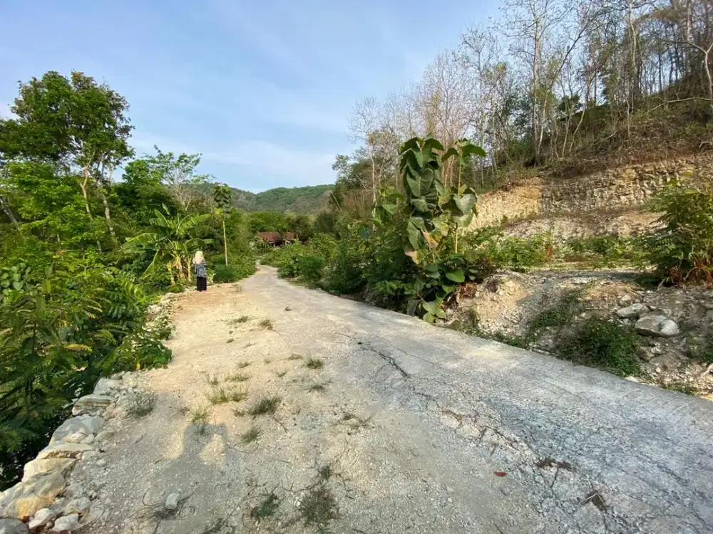Tanah Jogja Bantul Mulai 900 Ribuan/m Nego 1 KM Ke Puncak Sosok