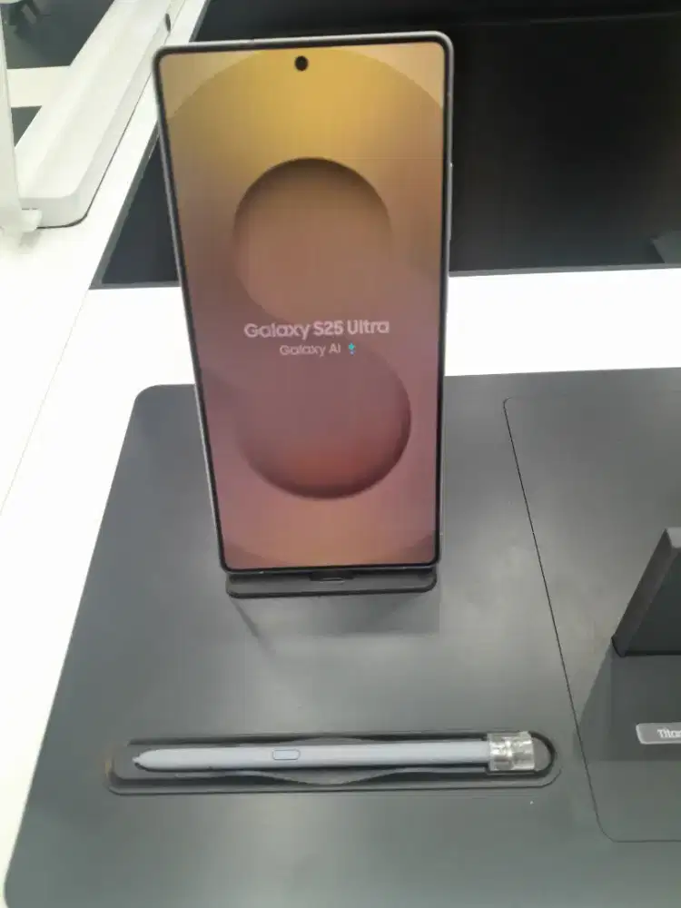 SAMSUNG GALAXY S25 ULTRA