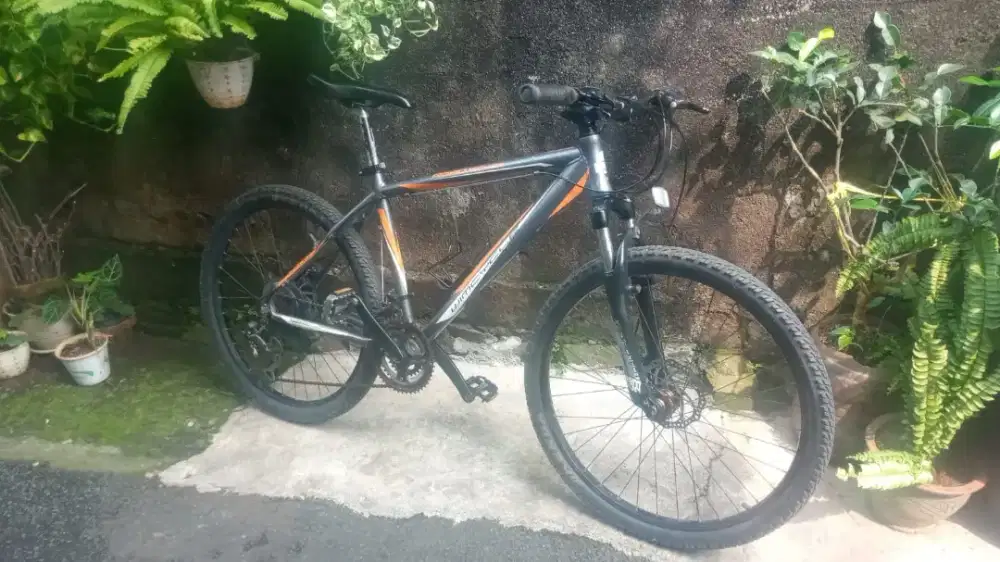 MTB Wimcycle 26