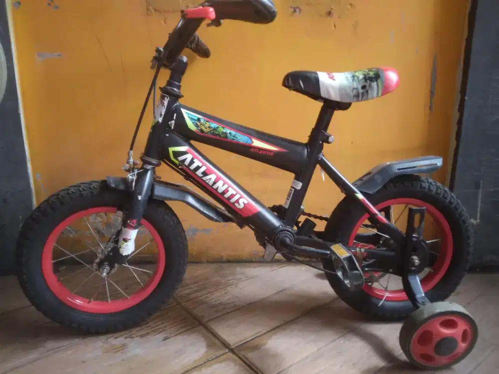 Sepeda anak ring 12