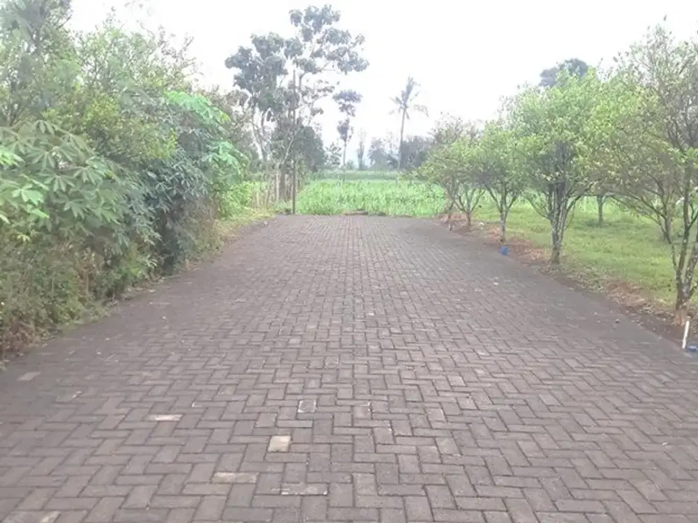 Tanah Kavling murah Saptorenggo Pakis Istana Bandara 7 Free SHM an pembeli