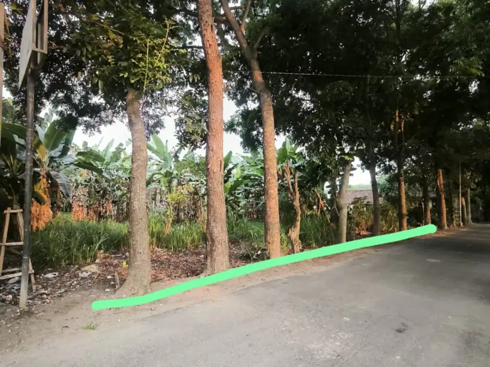 TANAH BAGUS DEKAT POLSEK CEBONGAN MLATI