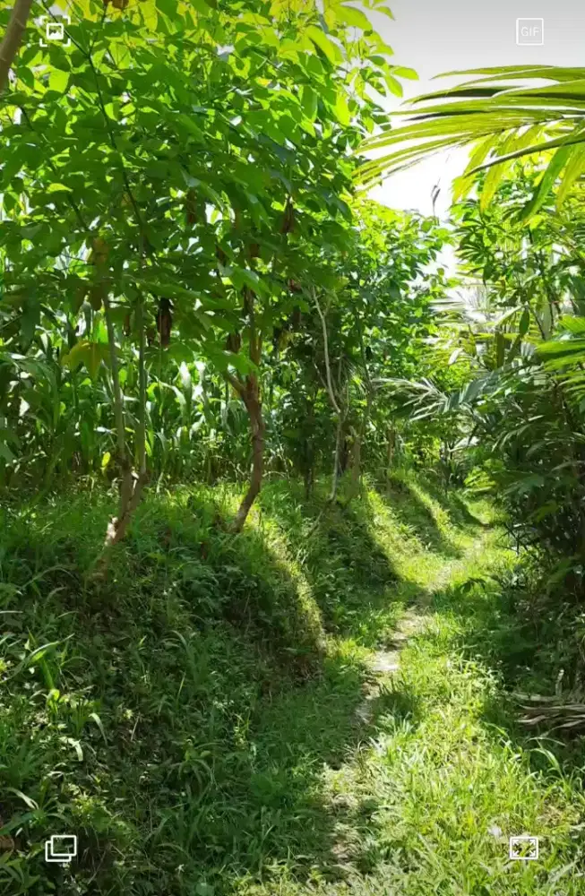 DIJUAL TANAH TANPA PERANTARA