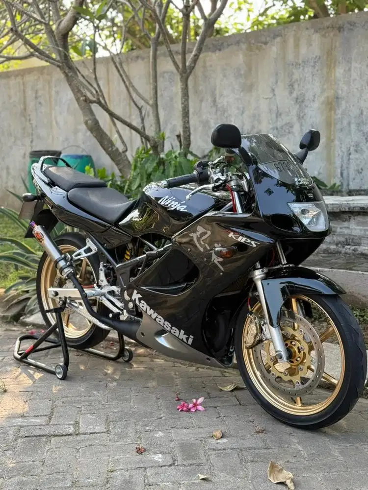 Kawasaki Ninja RR