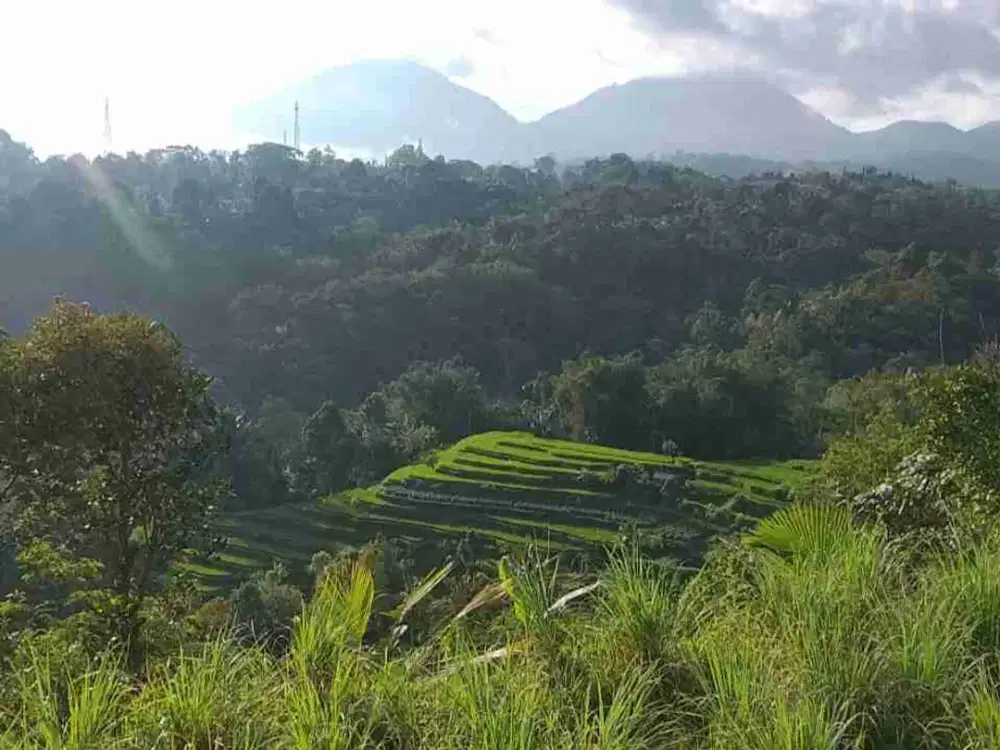 Dijual tanah view gunung.sawah terasering dan lembah di tabanan