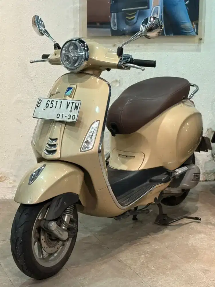 PRIMAVERA LIMITED COLOR