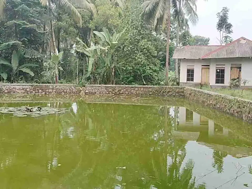 Dijual Villa Ciapus Di Pandeglang tersedia Kolam Ikan, cocok untuk Usaha dan Hunian