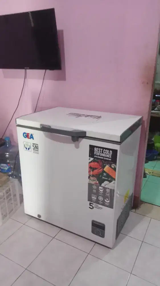 Frezeer box 210 L