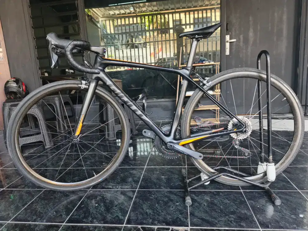 Roadbike Giant TCR PRO (Rim Brake)