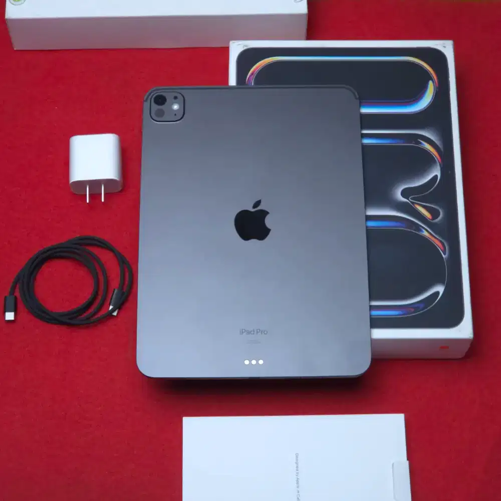 iPad Pro M4 256gb 11-inch mulus