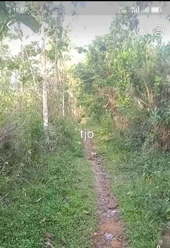 Jual tanah lokasi Jumantono Karanganyar lt 3700m hrg 250jt nego